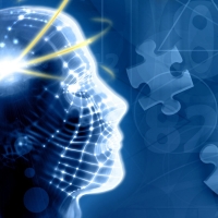 ICI-26 Workshop: Intelligence Mind Traps and Cognitive Biases